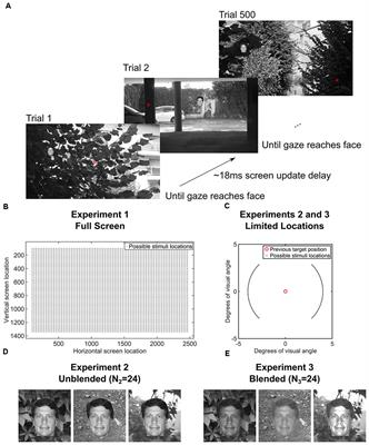 High Resolution Human Eye Tracking During Continuous Visual Search